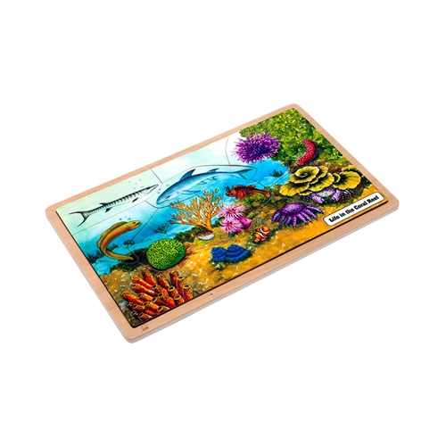 Life in the Coral Reef Puzzle with Nomenclature Cards (6-9)