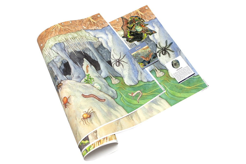 Life in a Cave Chart with Research Cards 