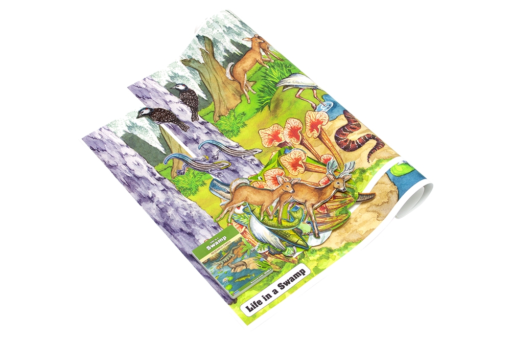 Life in a Swamp Chart with Research Cards 