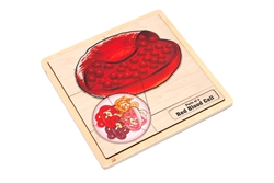 Parts of a Red Blood Cell (Complete Set)