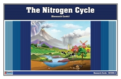 The Nitrogen Cycle Research Cards