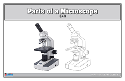 Parts of a Microscope Nomenclature Cards (6-9)