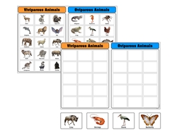 Oviparous vs. Viviparous Animals Charts with Cards