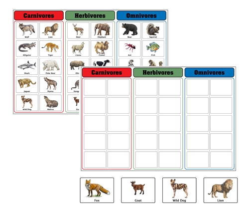 Carnivores, Herbivores, and  Omnivores Charts with Cards