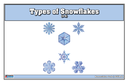 Types of Snowflakes Nomenclature Cards  3-6 (Printed)