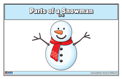Parts of a Snowman Nomenclature Cards  3-6 (Printed)