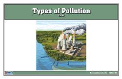 Types of Pollution Nomenclature Cards (3-6)