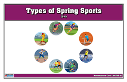 Types of Spring Sports Nomenclature Cards  3-6 (Printed)