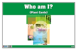 Who am I? (Plant Cards)