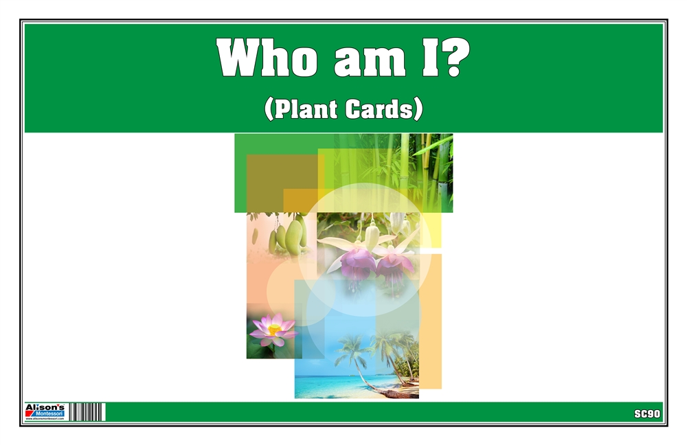 Montessori: Who am I? (Plant Cards)