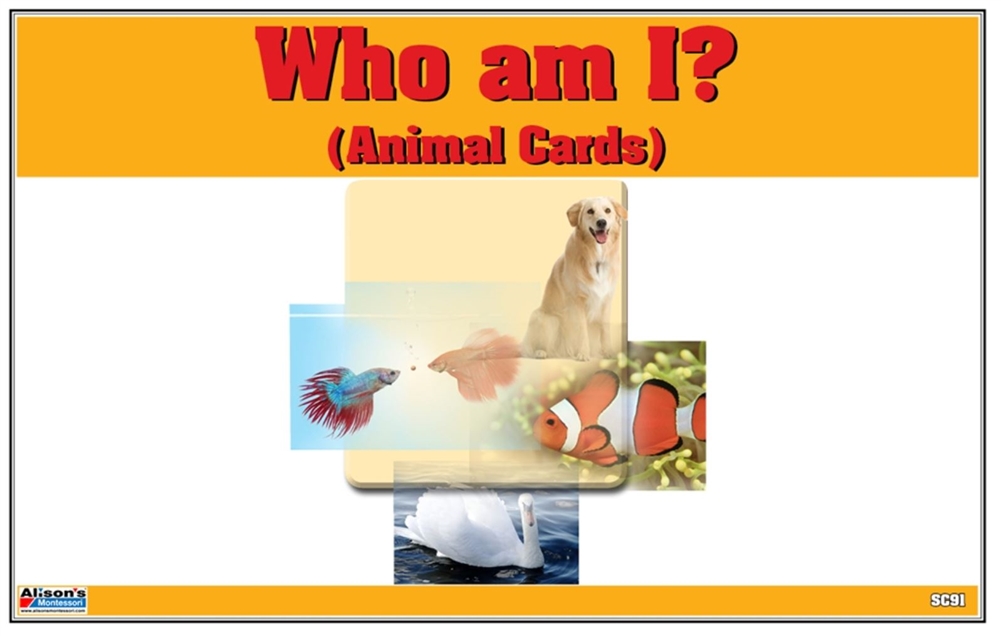 Montessori: Who am I? (Animal Cards)