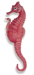 red seahorse father with baby