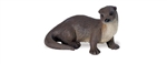 Montessori Materials-North American River Otter