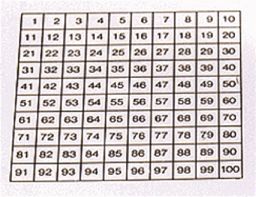 Montessori Materials Math Chart Stamp, 1100