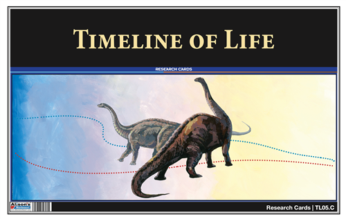 Timeline of Life Research Cards