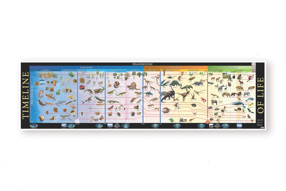 Montessori: Timeline of Life - Complete Set