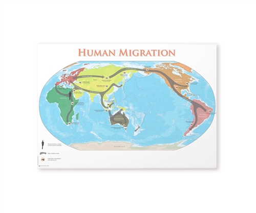 Human Migration Chart