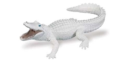 Montessori Materials-White Alligator