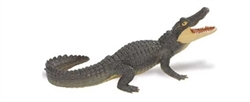 Montessori Materials-Alligator