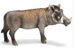Warthog Boar