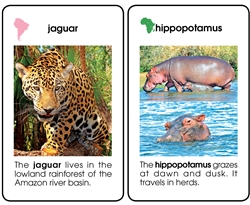World Mammals Elementary Plastic Cards