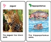 World Mammal Ages 3-6 Plastic Cards