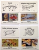 World Reptile Cards Early Childhood Plastic Cards