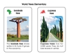 World Trees Plastic Cards Elementary