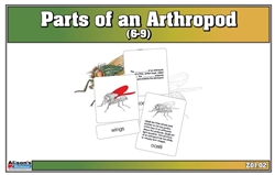 Parts of an Arthropod Nomenclature Cards (6-9) (Printed)