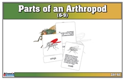 Parts of an Arthropod (Fly)