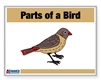 Parts of the Birds Control Booklet