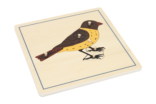 Parts of a Bird Puzzle with Nomenclature Cards (3-6) (Printed)