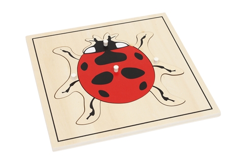 Parts of a Lady Bug Puzzle