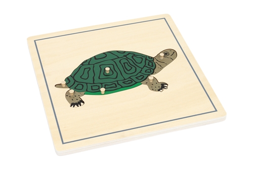 Parts of a Turtle Puzzle