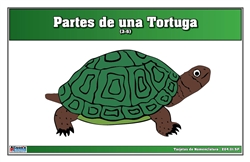 Parts of a Turtle Nomenclature Cards (3-6) (Spanish)