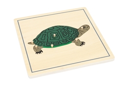 Parts of a Turtle Puzzle with Nomenclature Cards (3-6) (Printed)