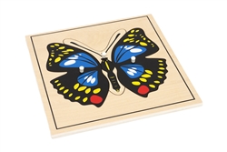 Parts of a Butterfly Puzzle