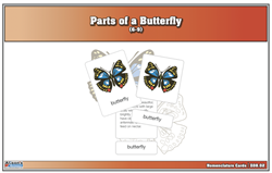 Montessori: Parts of a Butterfly Nomenclature Cards (6-9) (Printed)