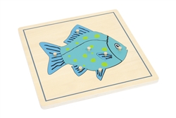 Parts of a Fish Puzzle