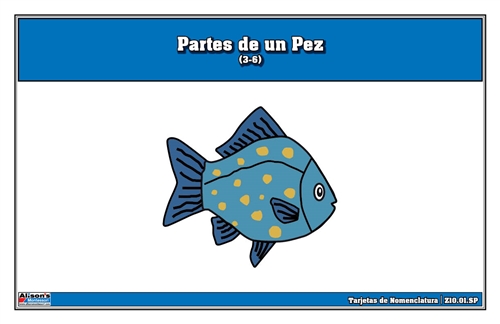 Parts of a Fish Nomenclature Cards (3-6)  (Spanish)
