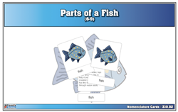 Montessori: Parts of a Fish Nomenclature Cards (6-9) (Printed)