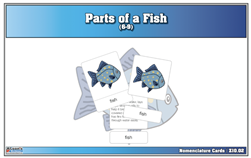 Parts of a Fish Nomenclature Cards (6-9) Printed