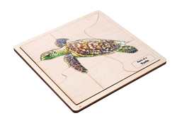Parts of a Turtle Puzzle (Elementary)