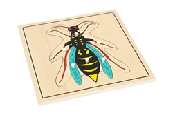 Parts of a Wasp Puzzle