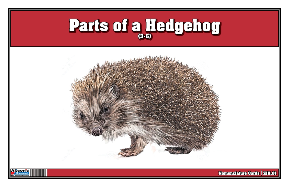 Montessori Materials: Parts of an Hedgehog (Printed)