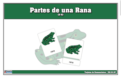 Tarjetas de nomenclatura de partes de una rana (3-6) (Spanish)
