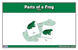 Montessori: Parts of a Frog Nomenclature Cards (6-9) (Printed)