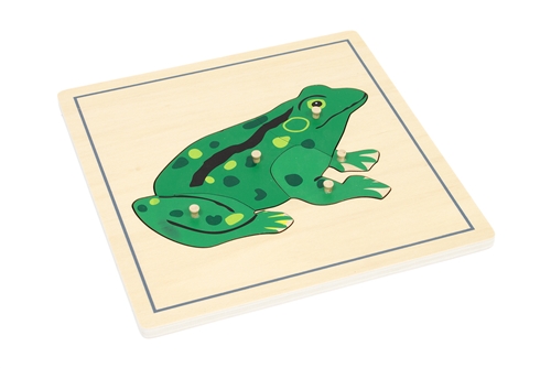 Parts of a Frog Puzzle with Nomenclature Cards (3-6) (Printed)