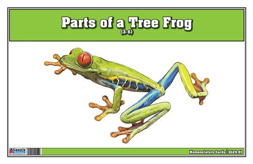 Parts of a Tree Frog (Printed)