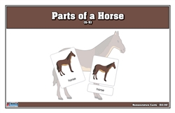 Parts of a Horse Nomenclature Cards (6-9) Printed